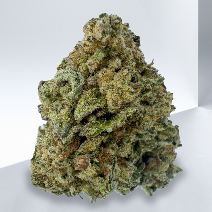 206-PLATINUM-DELIGHTS.jpg